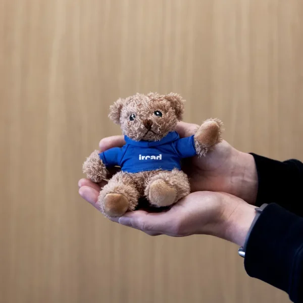 Teddy bear
