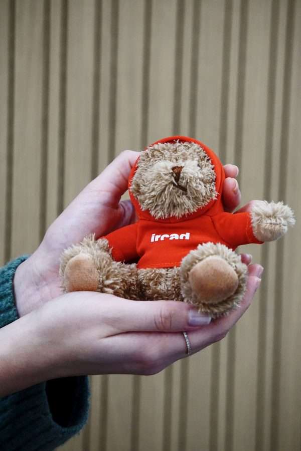 Teddy bear - Image 3
