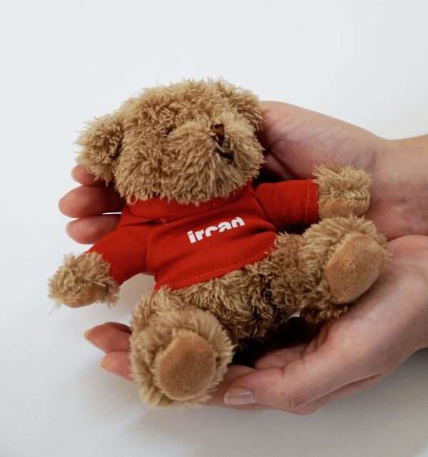 Teddy bear - Image 4